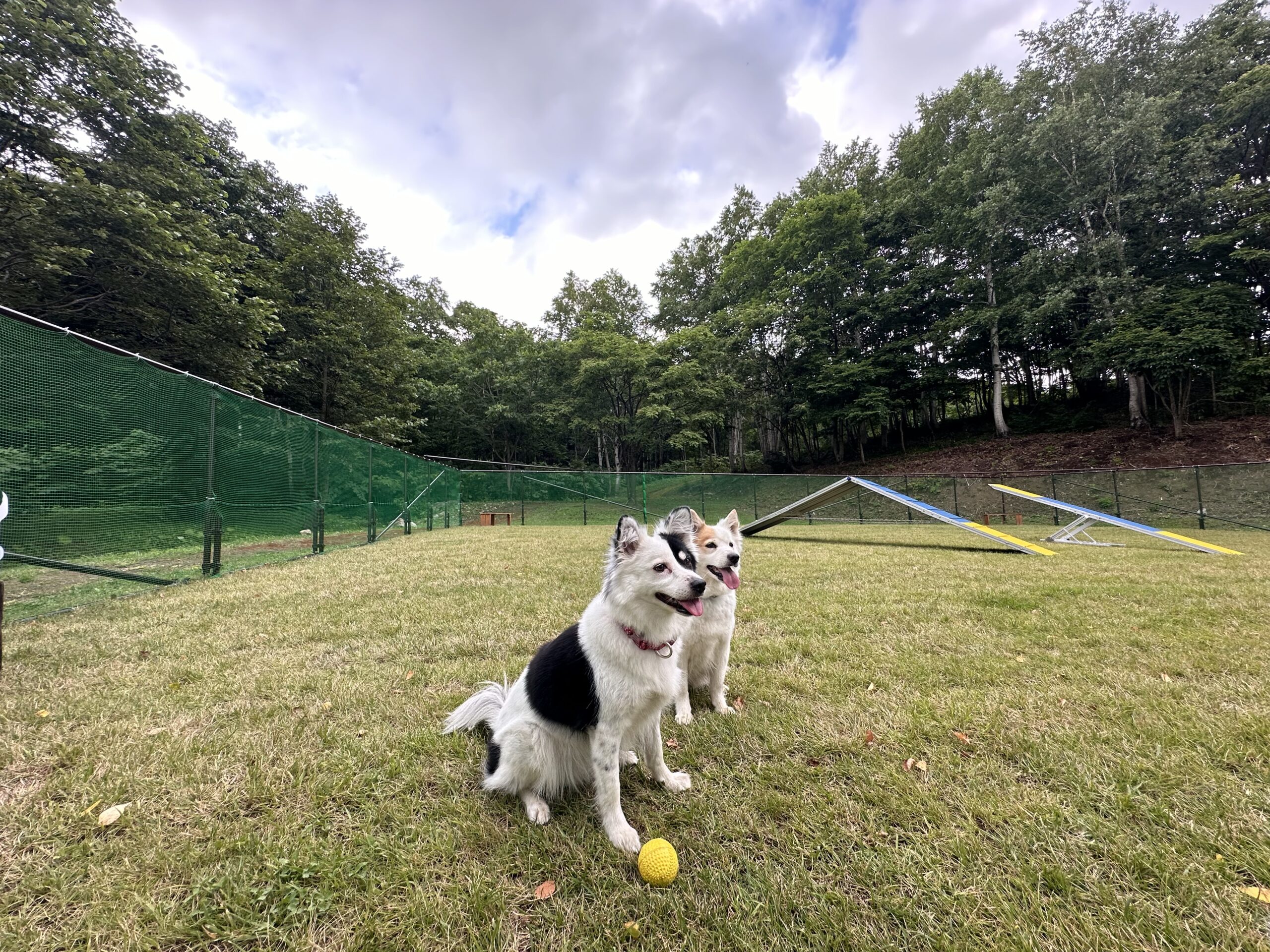 ひらふグランドセントロ ドッグラン | ひらふグランドセントロ